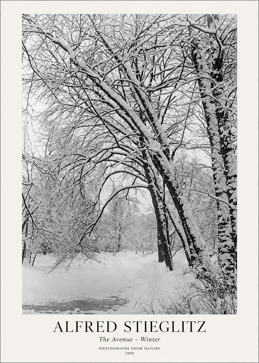 Alfred Stieglitz The Avenue – Winter No1 - Affiche