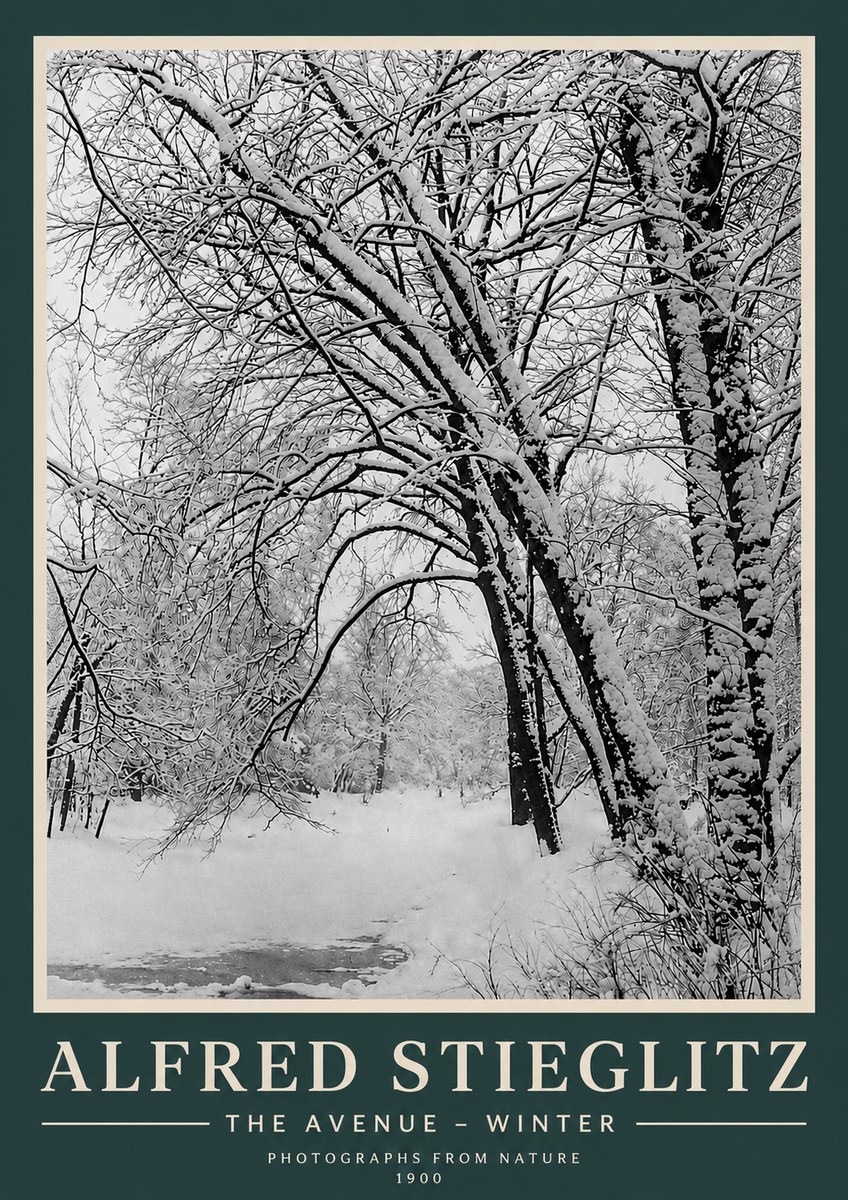 Alfred Stieglitz The Avenue – Winter No3 - Affiche