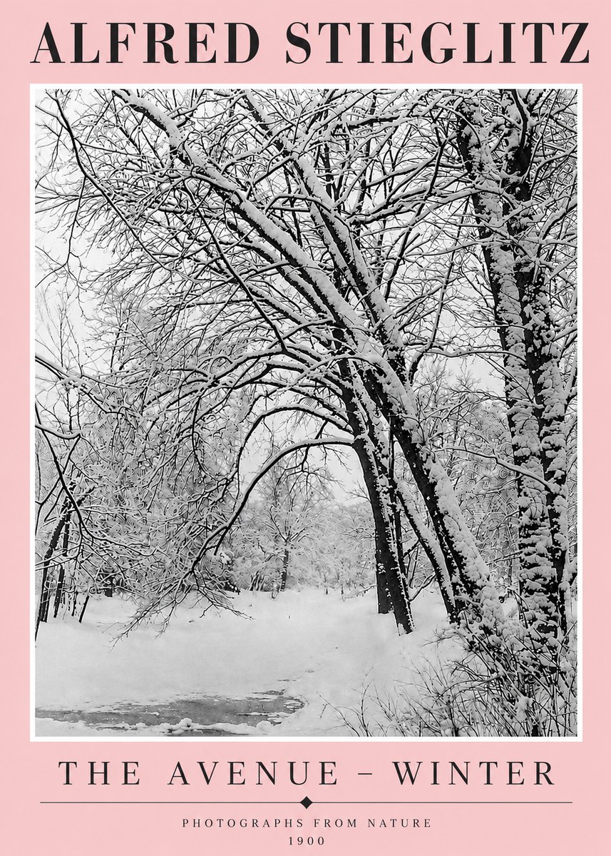 Alfred Stieglitz The Avenue – Winter No4 - Affiche