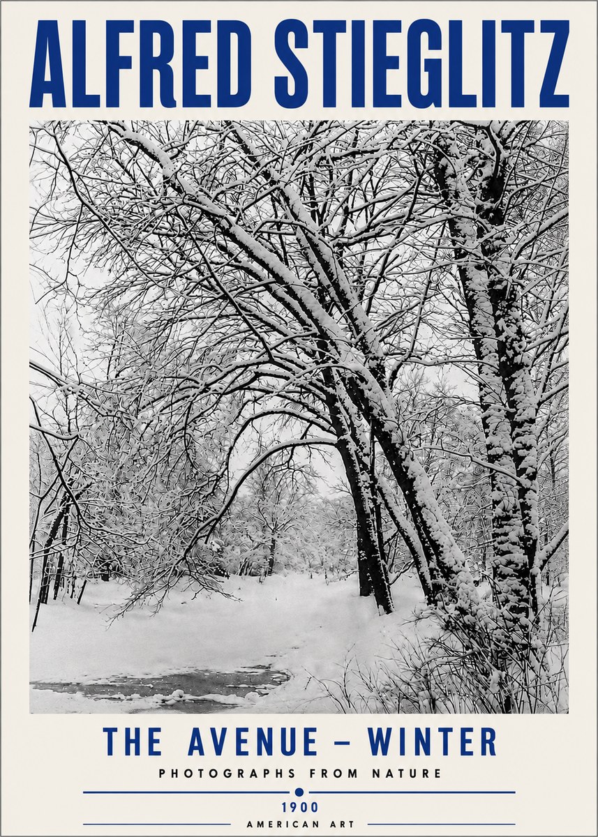 Alfred Stieglitz The Avenue – Winter No5 - Affiche