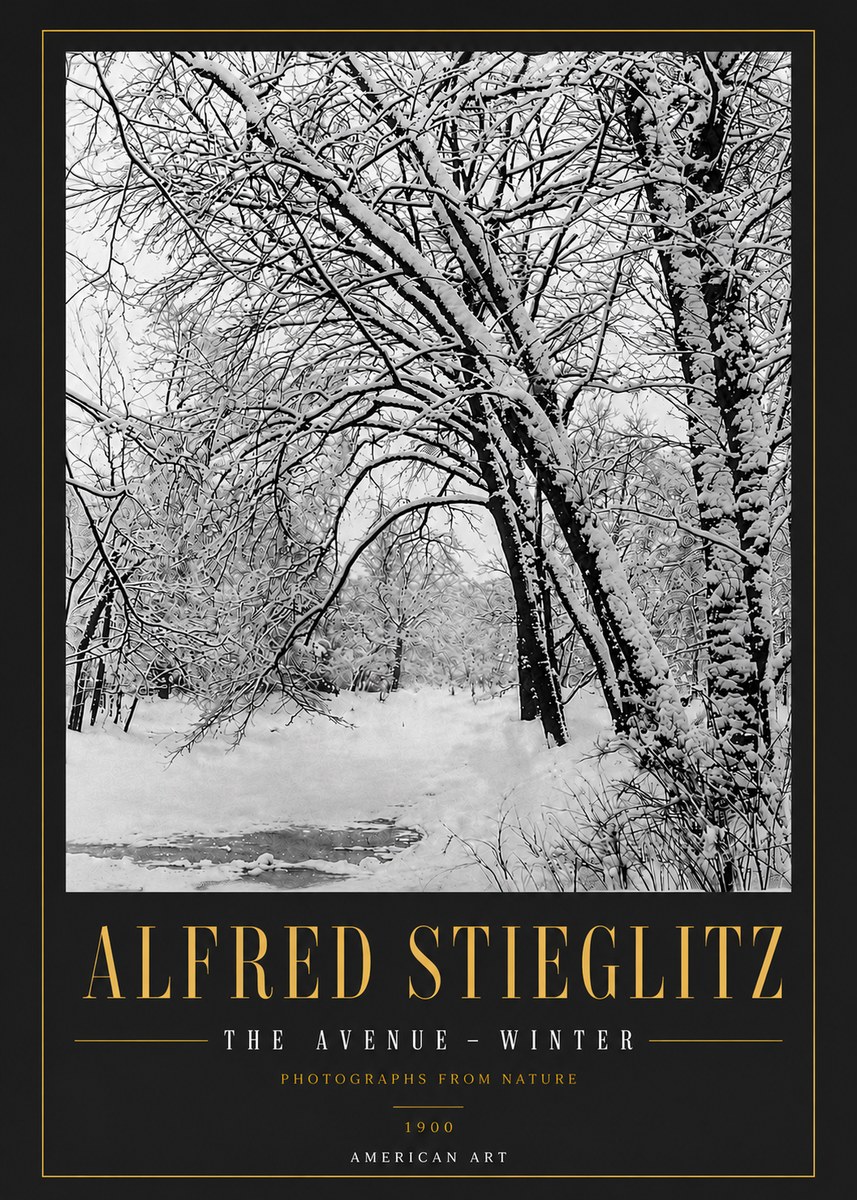 Alfred Stieglitz The Avenue – Winter No6 - Affiche