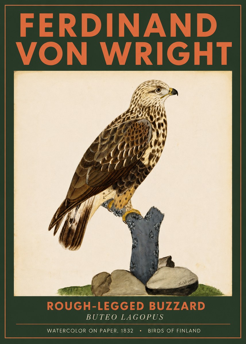 Ferdinand von Wright Rough-legged Buzzard No2 - Affiche