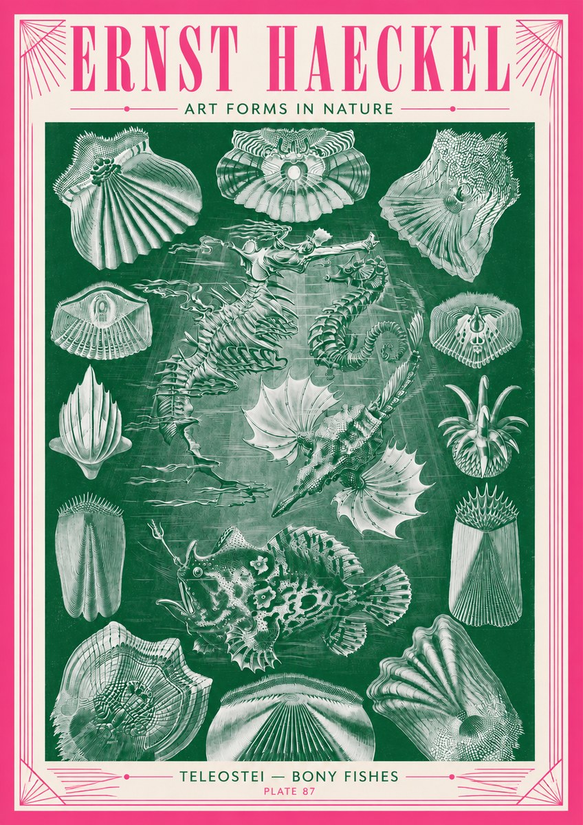 Ernst Haeckel Teleostei - Bony Fishes No3 - Affiche