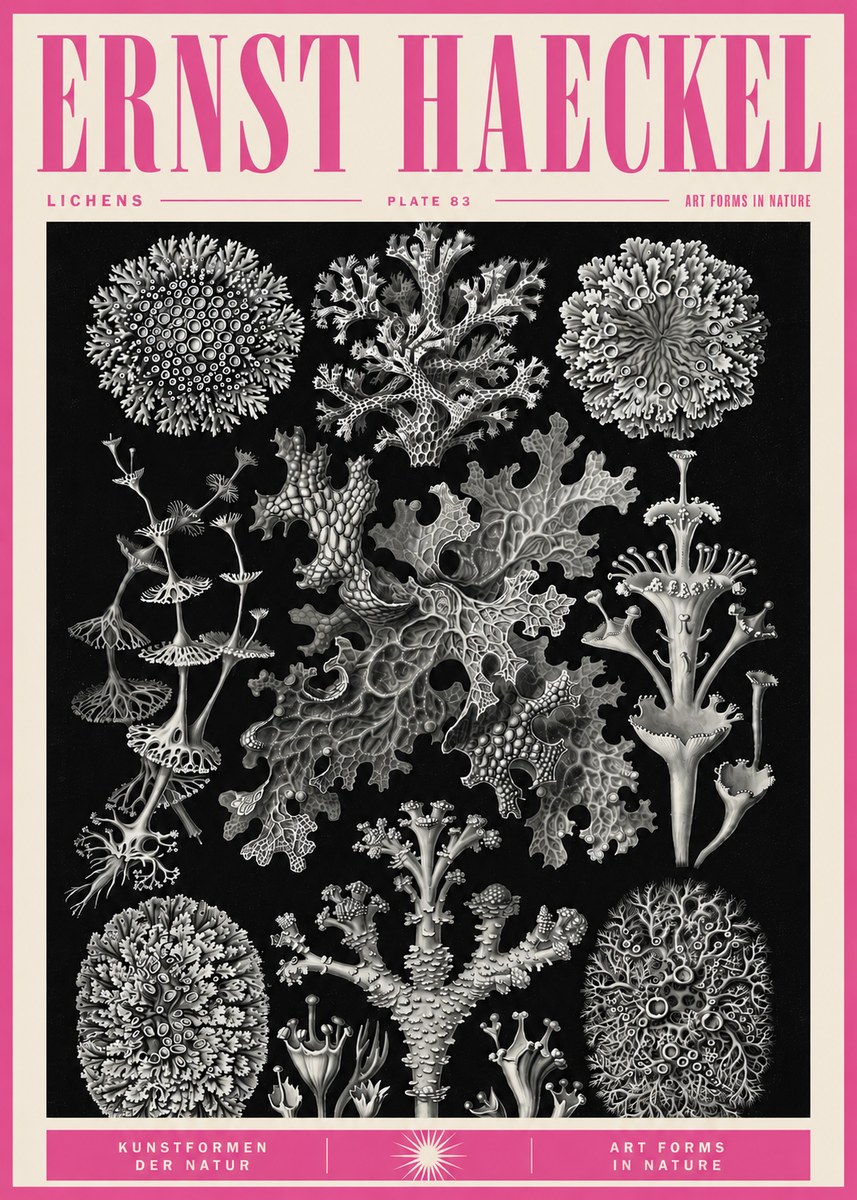 Ernst Haeckel Lichens - Plate 83 No5 - Affiche