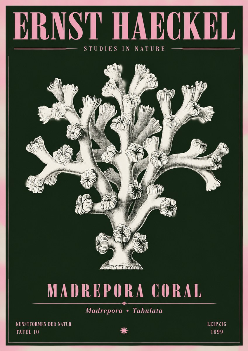 Ernst Haeckel Corallium Rubrum I No5 - Affiche