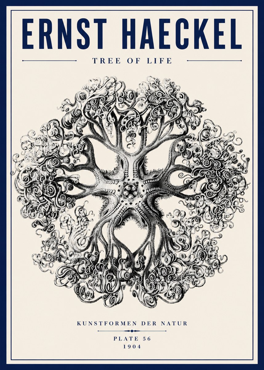 Ernst Haeckel Tree-like Organism No6 - Affiche