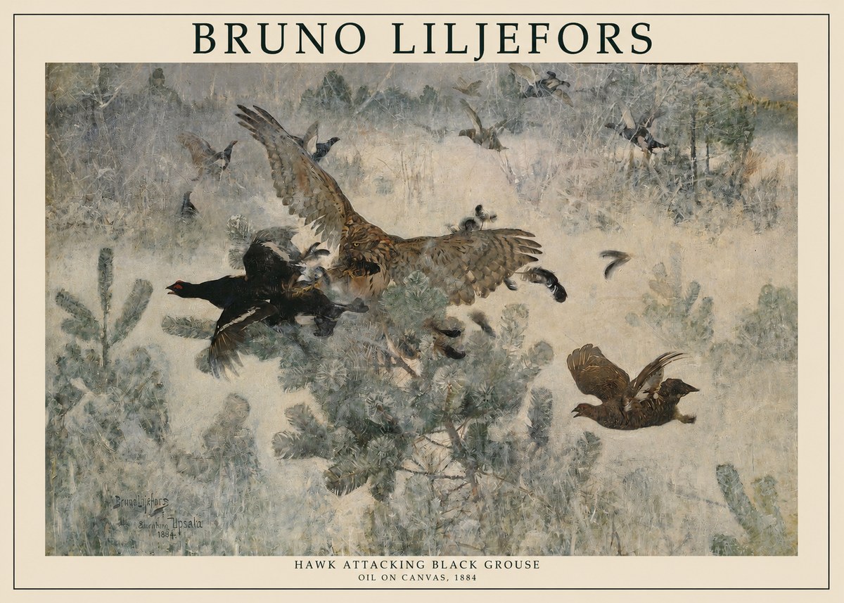 Bruno Liljefors Hawk Attacking Black Grouse No1 - Affiche