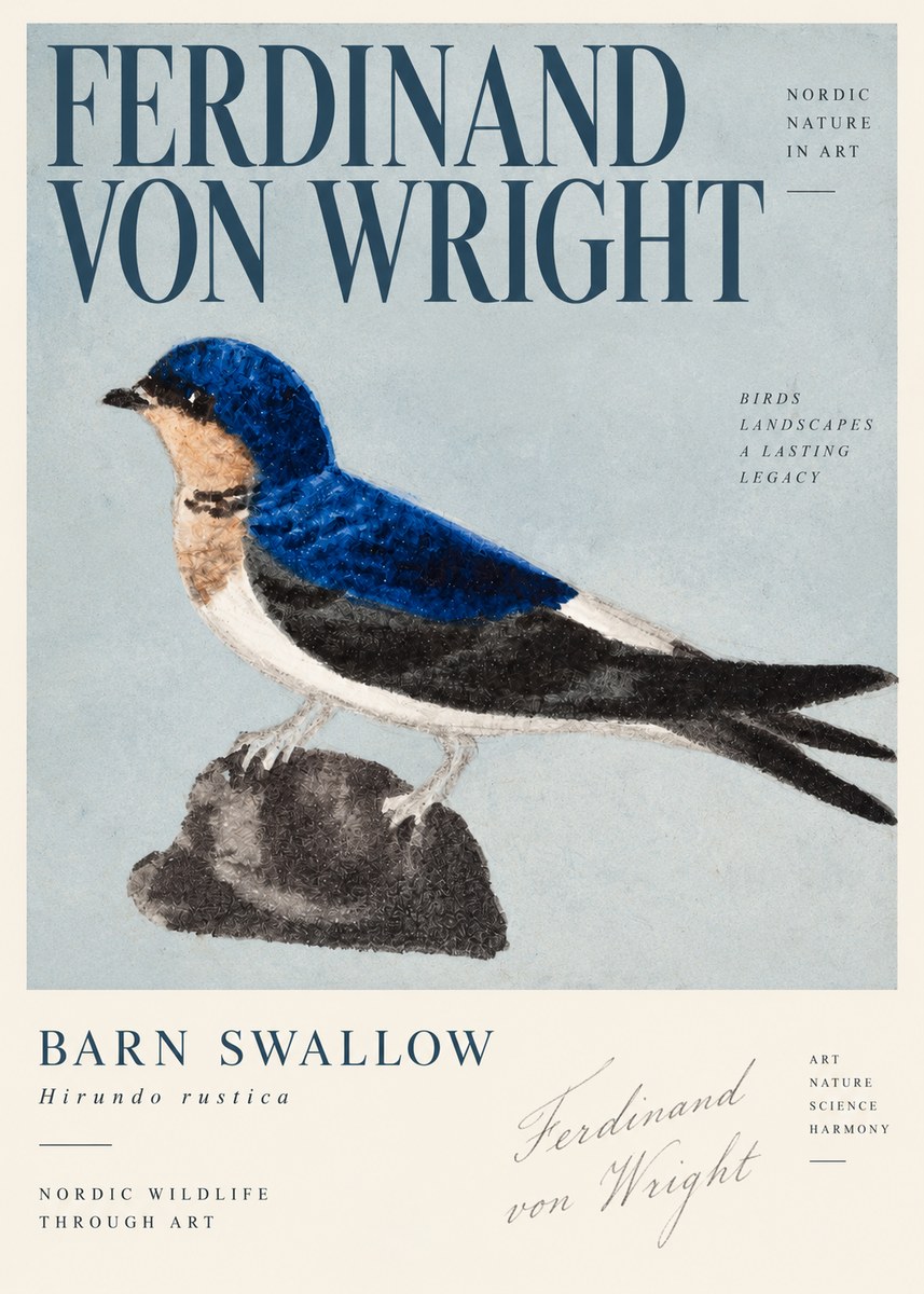 Ferdinand von Wright Swallow (Hirundo Rustica) No4 - Affiche