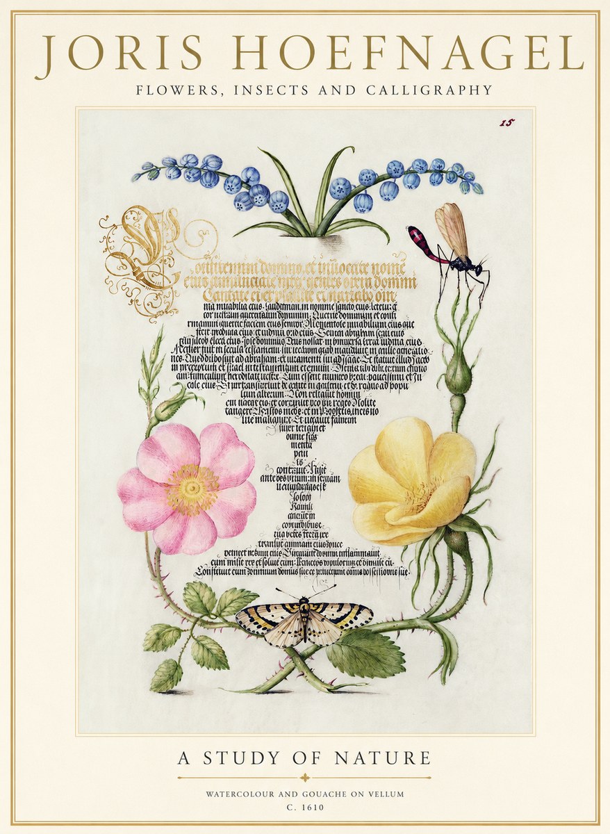 Joris Hoefnagel A Study of Nature I No1 - Affiche