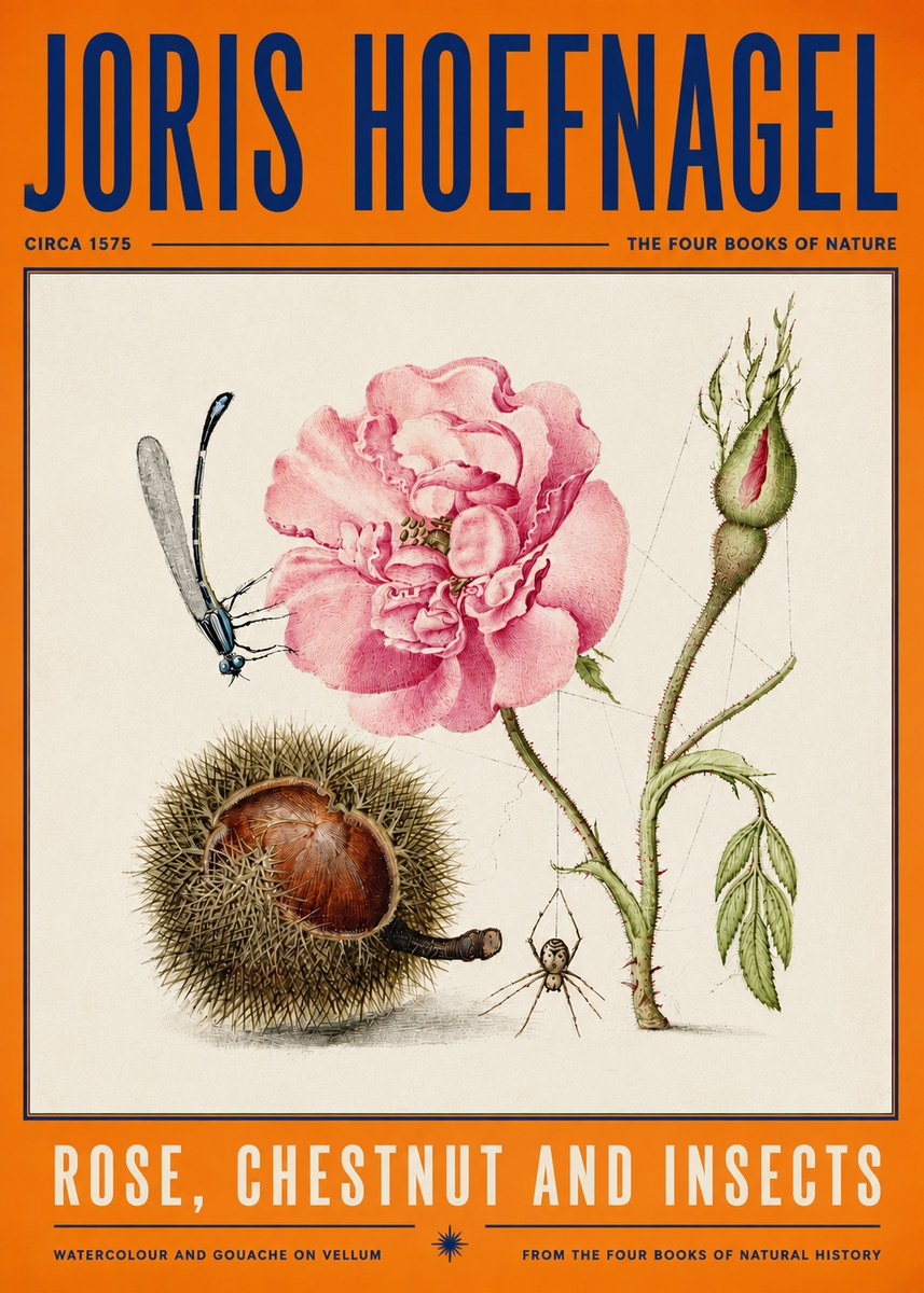 Joris Hoefnagel Rose, Chestnut and Insects No4 - Affiche