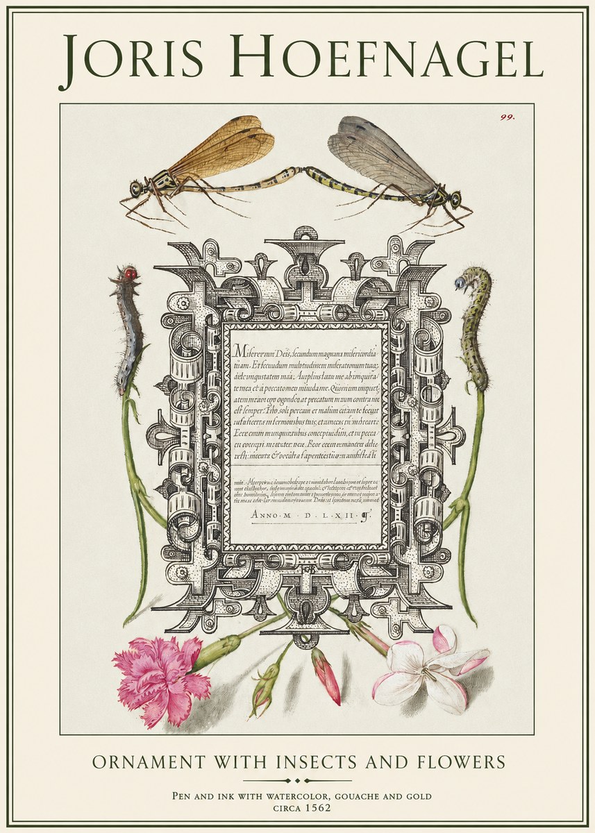 Joris Hoefnagel Ornamental Frame with Damselflies, Caterpillars and Flowers No2 - Affiche