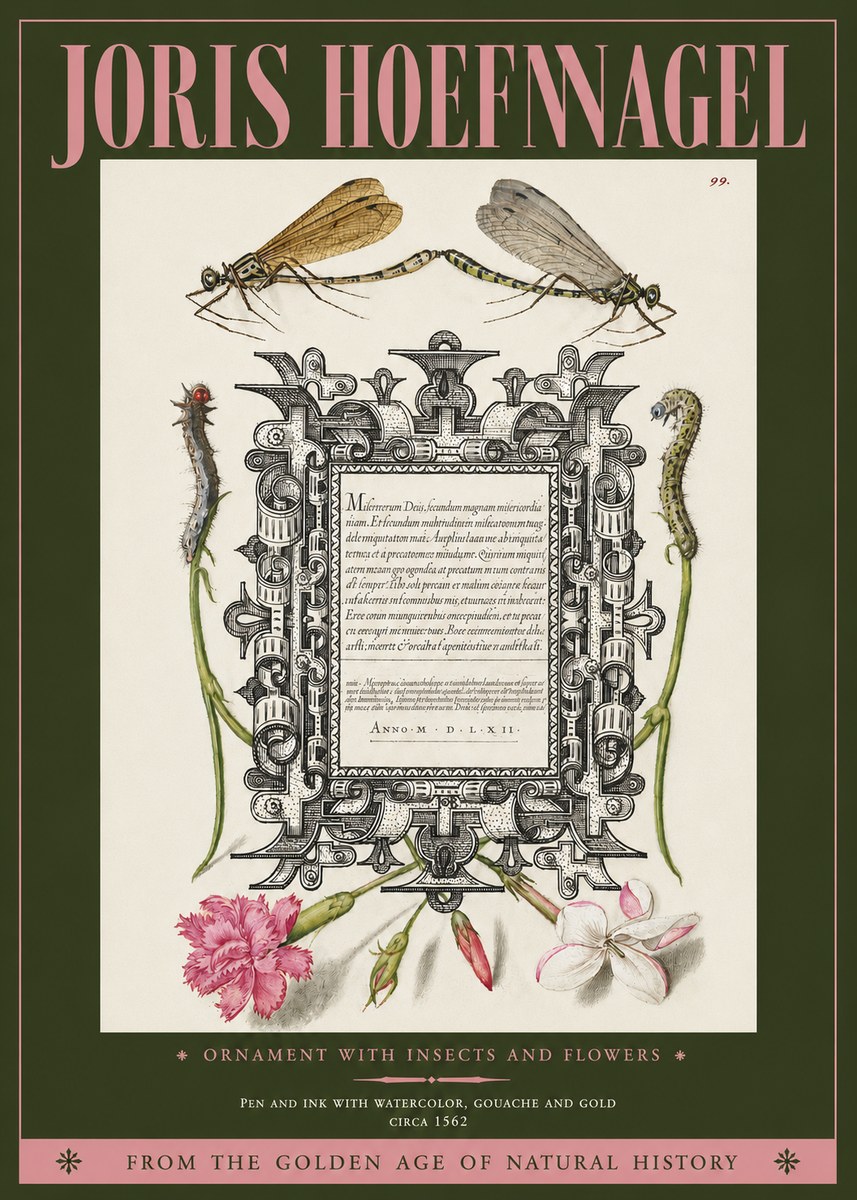Joris Hoefnagel Ornamental Frame with Damselflies, Caterpillars and Flowers No4 - Affiche