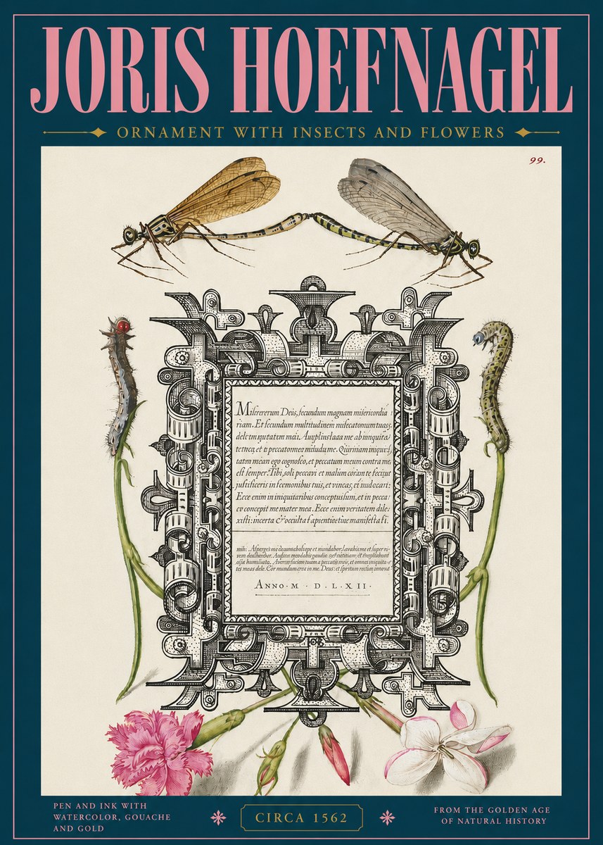 Joris Hoefnagel Ornamental Frame with Damselflies, Caterpillars and Flowers No5 - Affiche