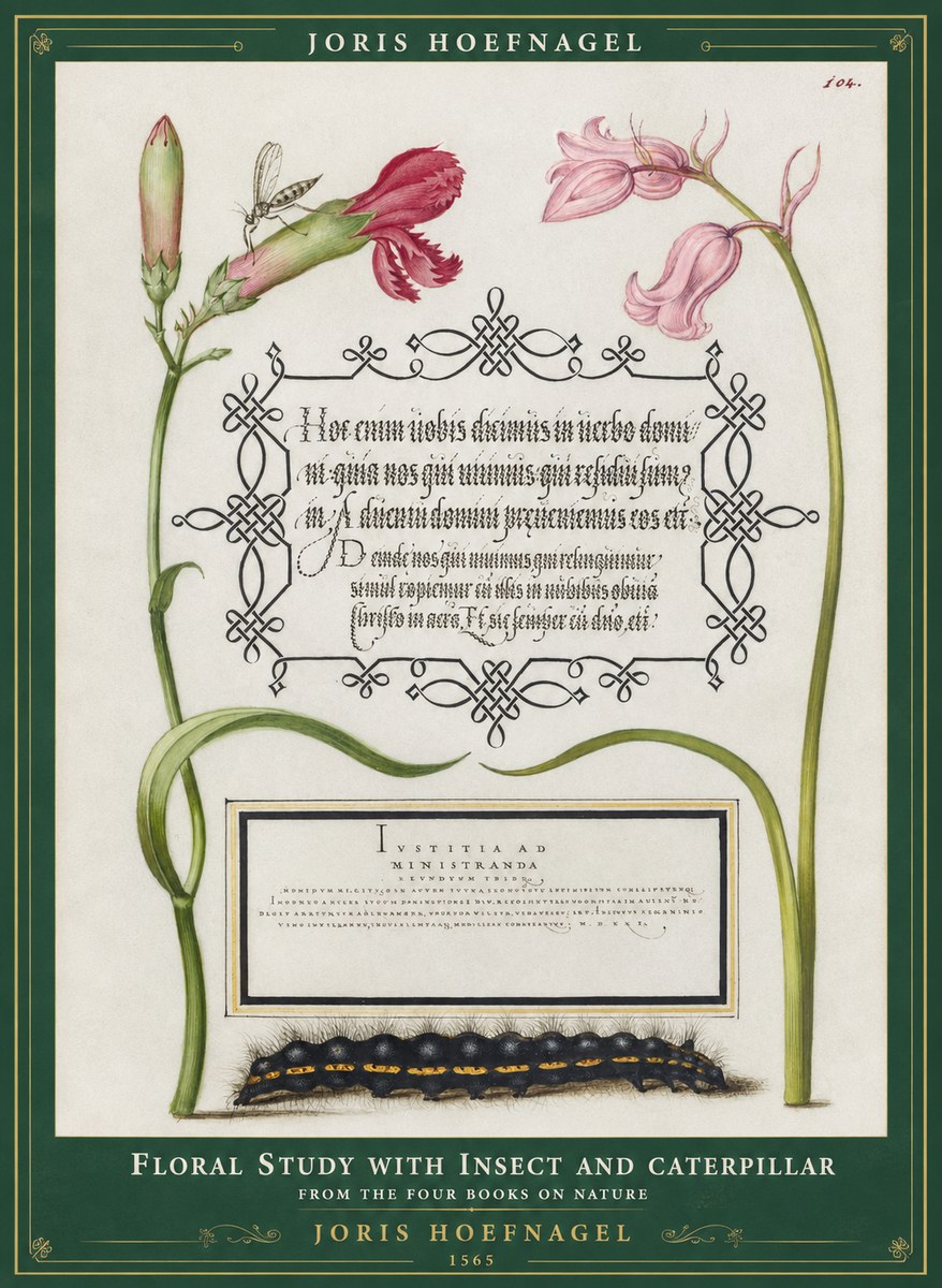 Joris Hoefnagel Floral Study with Insect and Caterpillar No1 - Affiche