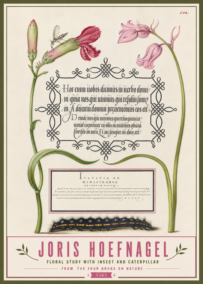 Joris Hoefnagel Floral Study with Insect and Caterpillar No3 - Affiche