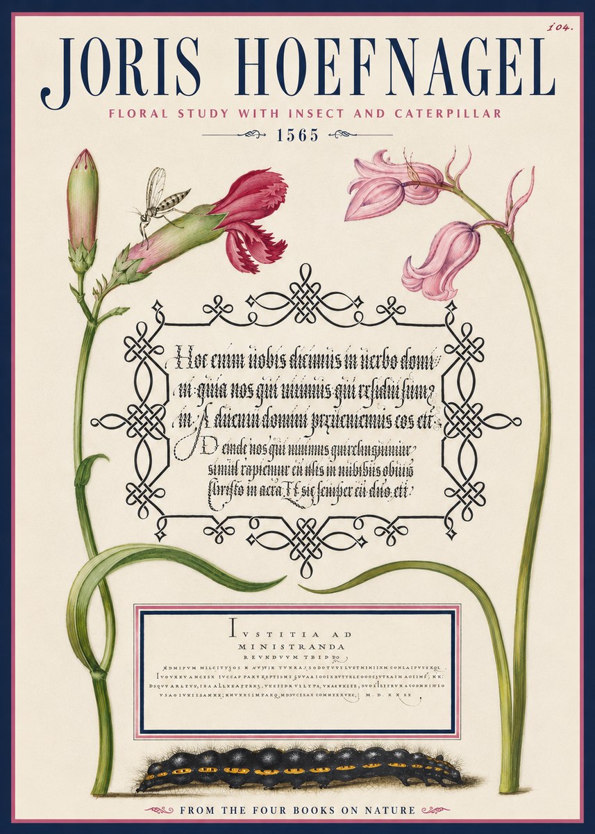 Joris Hoefnagel Floral Study with Insect and Caterpillar No4 - Affiche