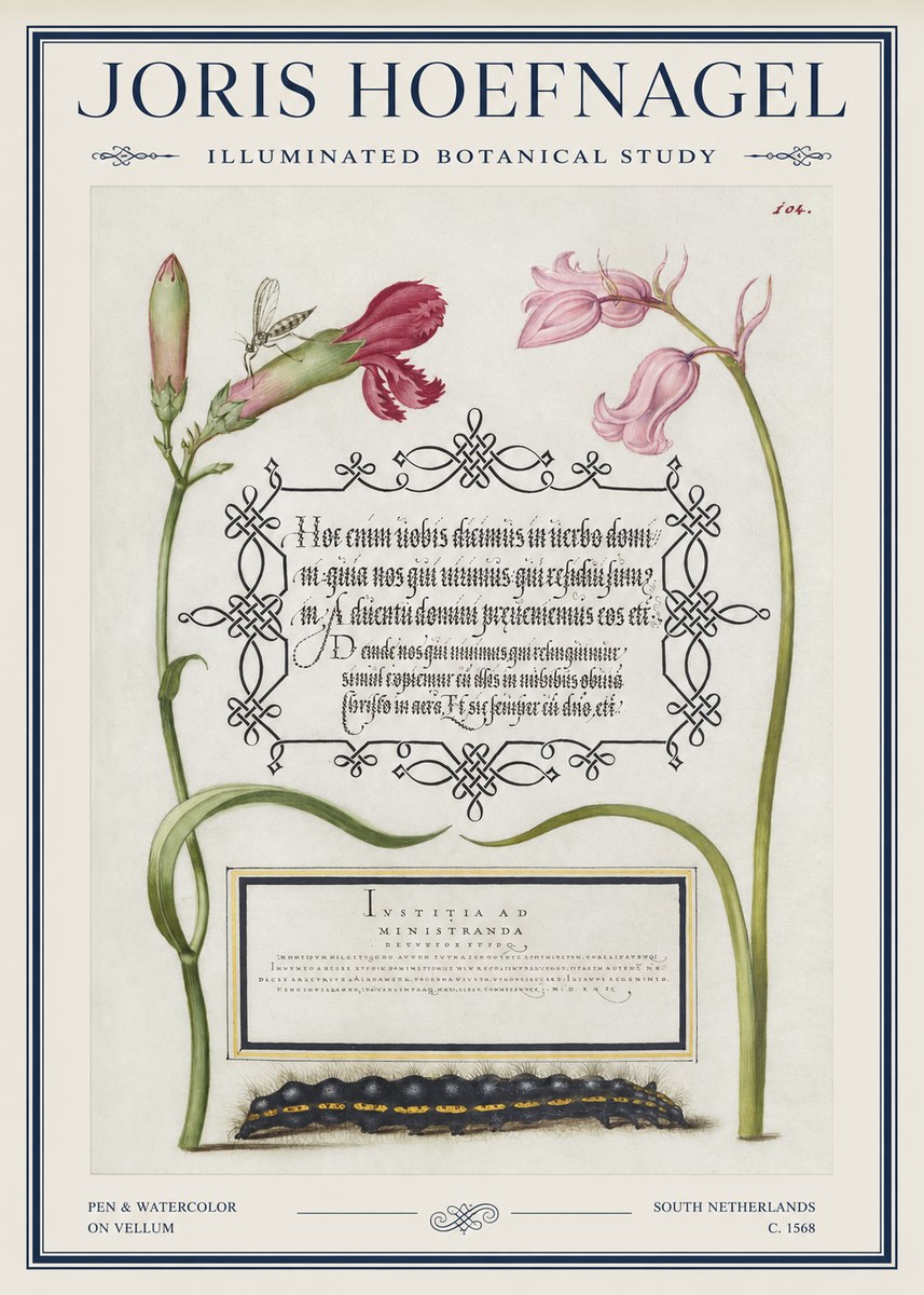Joris Hoefnagel Floral Study with Insect and Caterpillar No5 - Affiche