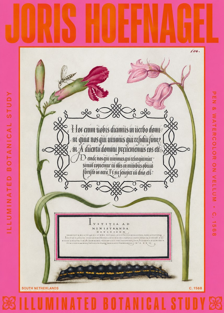 Joris Hoefnagel Floral Study with Insect and Caterpillar No6 - Affiche