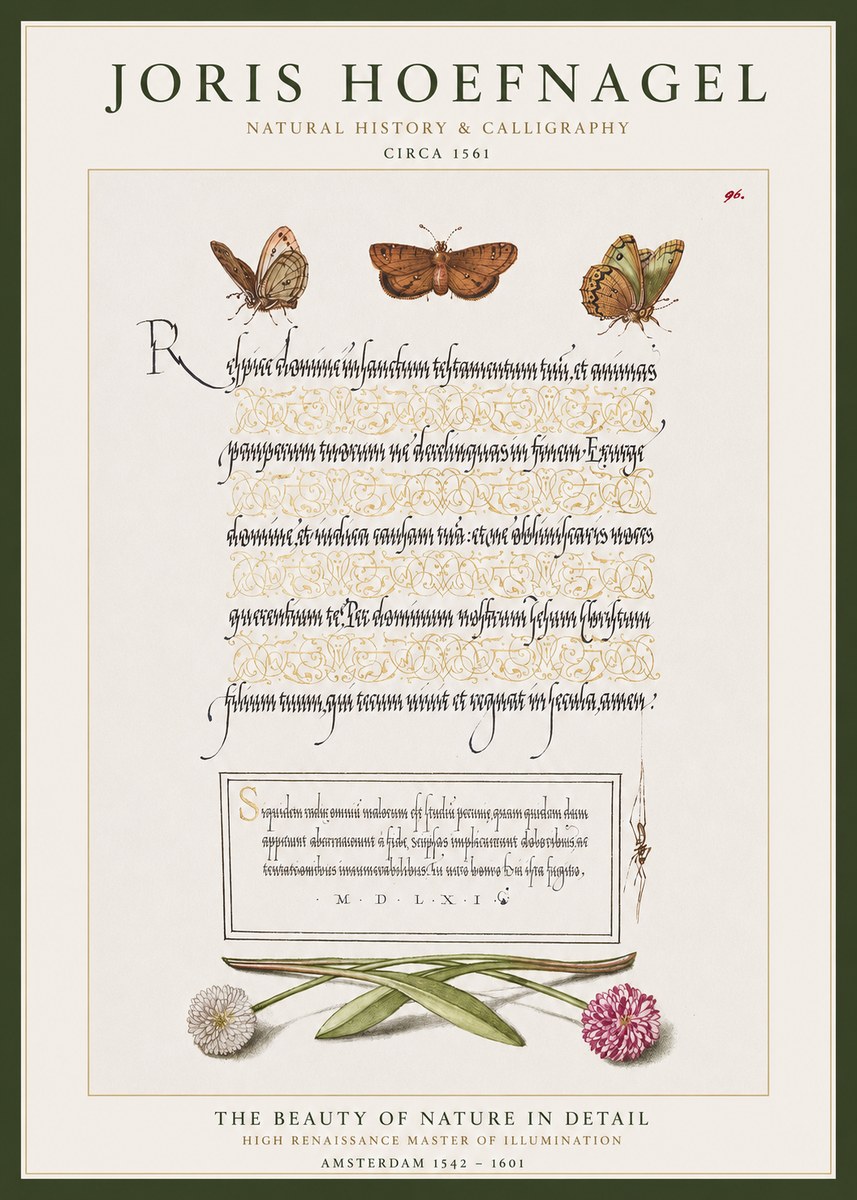 Joris Hoefnagel Butterflies, Flowers and Calligraphy Page No1 - Affiche