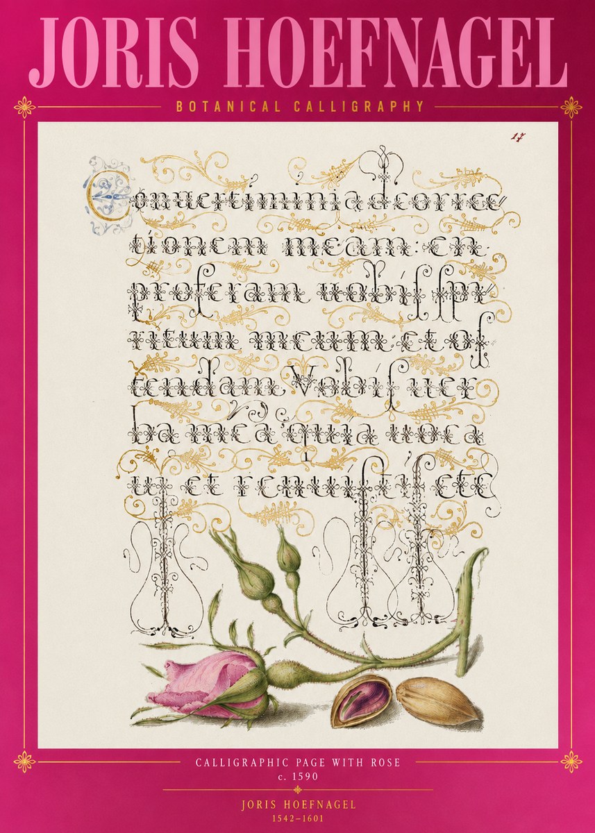 Joris Hoefnagel Calligraphic Page with Rose No2 - Affiche