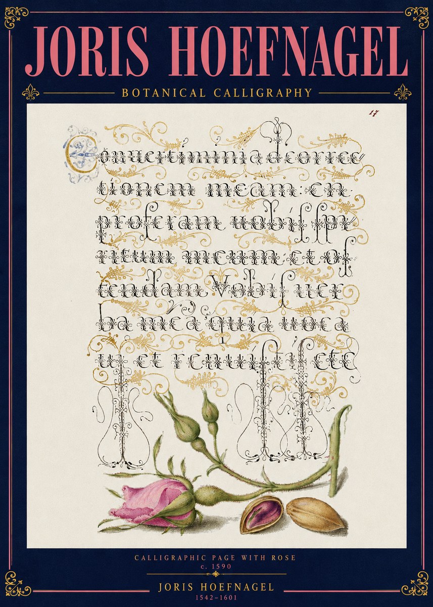 Joris Hoefnagel Calligraphic Page with Rose No4 - Affiche