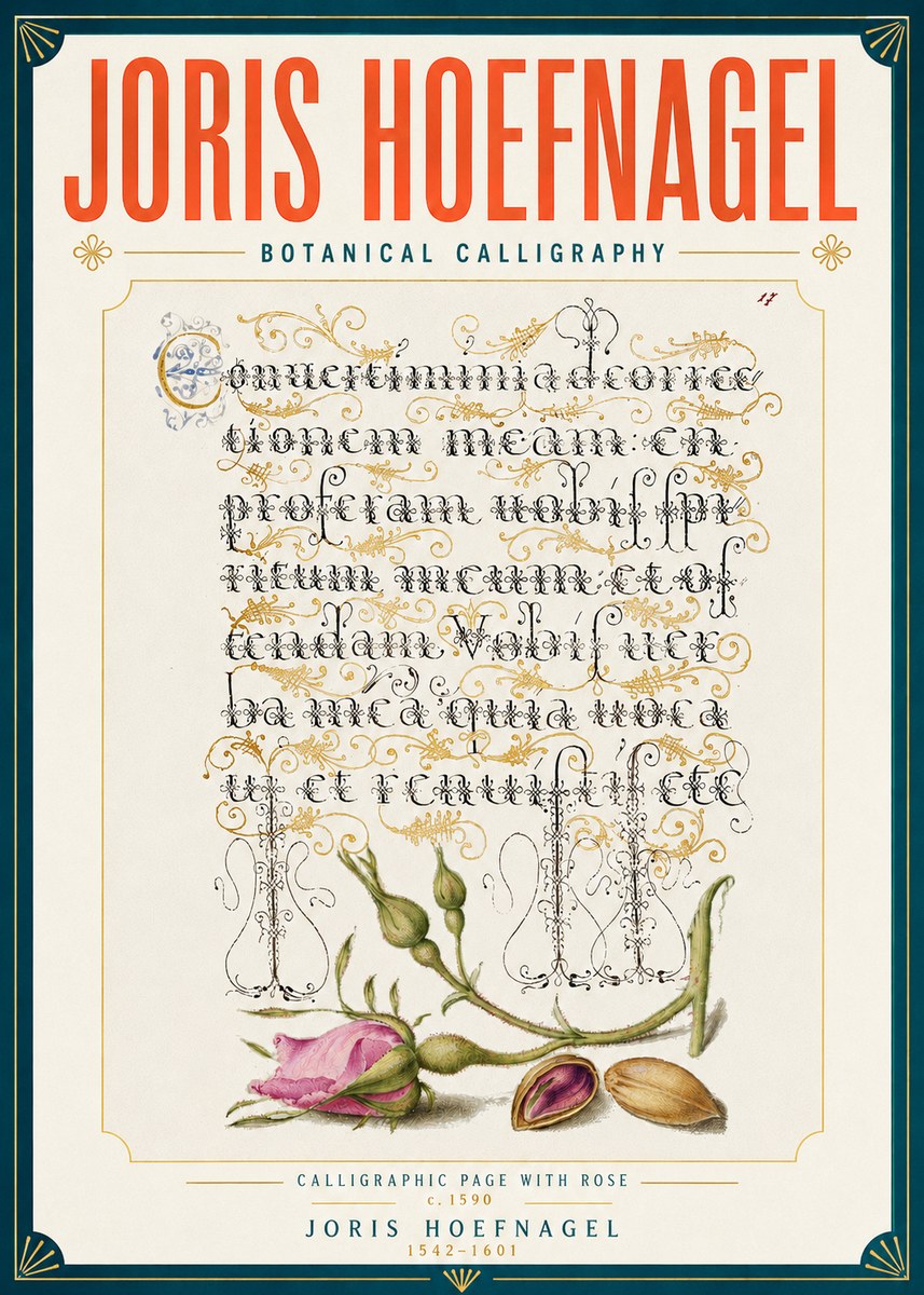 Joris Hoefnagel Calligraphic Page with Rose No6 - Affiche