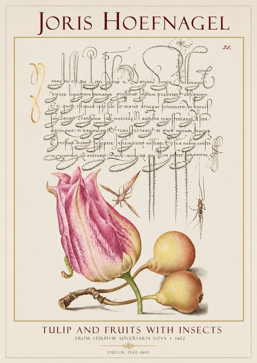 Joris Hoefnagel Tulip and Fruits with Insects No1 - Affiche