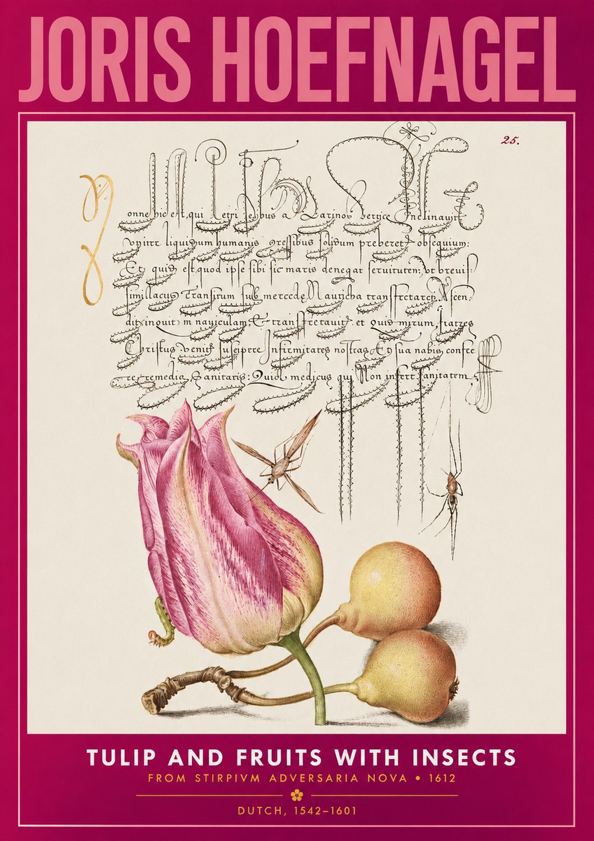 Joris Hoefnagel Tulip and Fruits with Insects No2 - Affiche