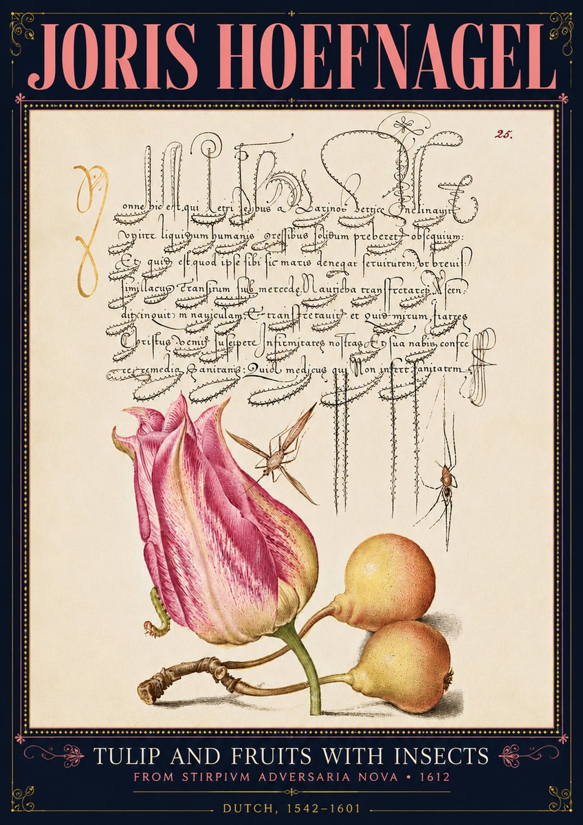 Joris Hoefnagel Tulip and Fruits with Insects No4 - Affiche