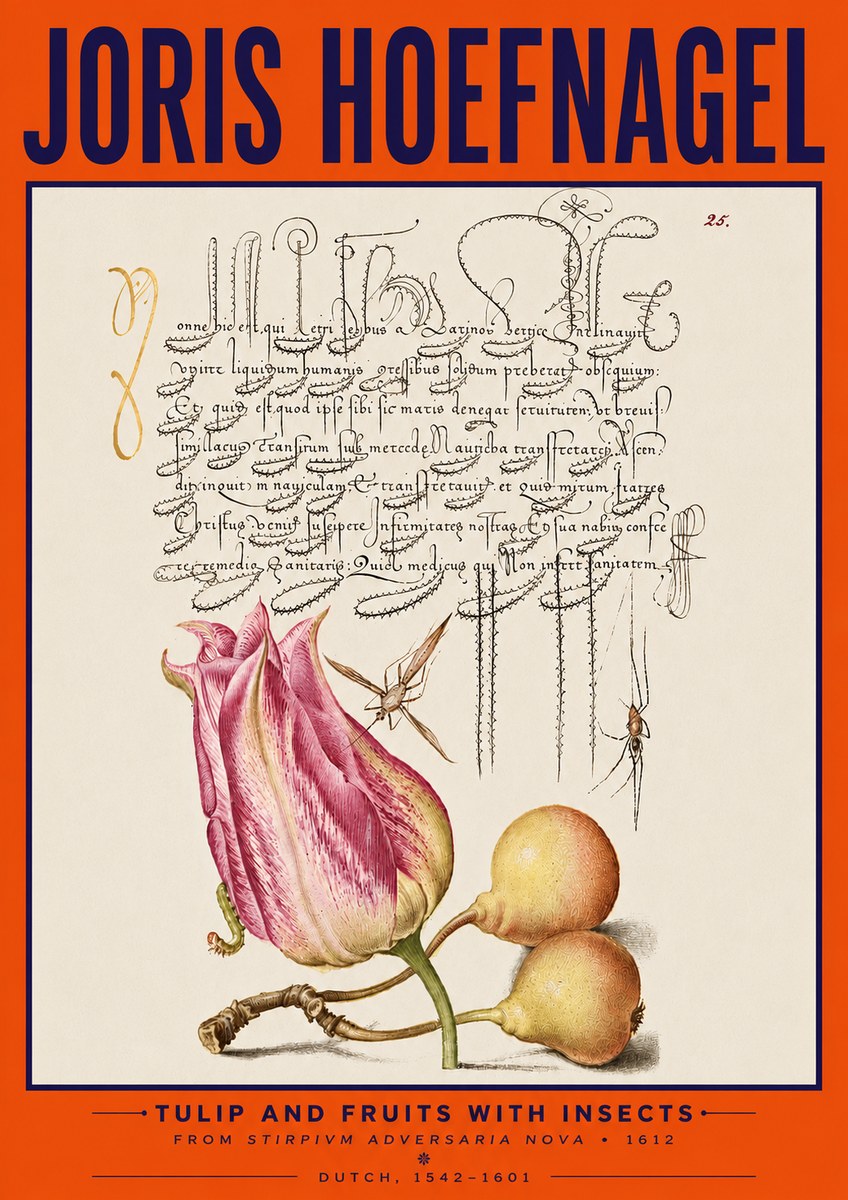 Joris Hoefnagel Tulip and Fruits with Insects No5 - Affiche