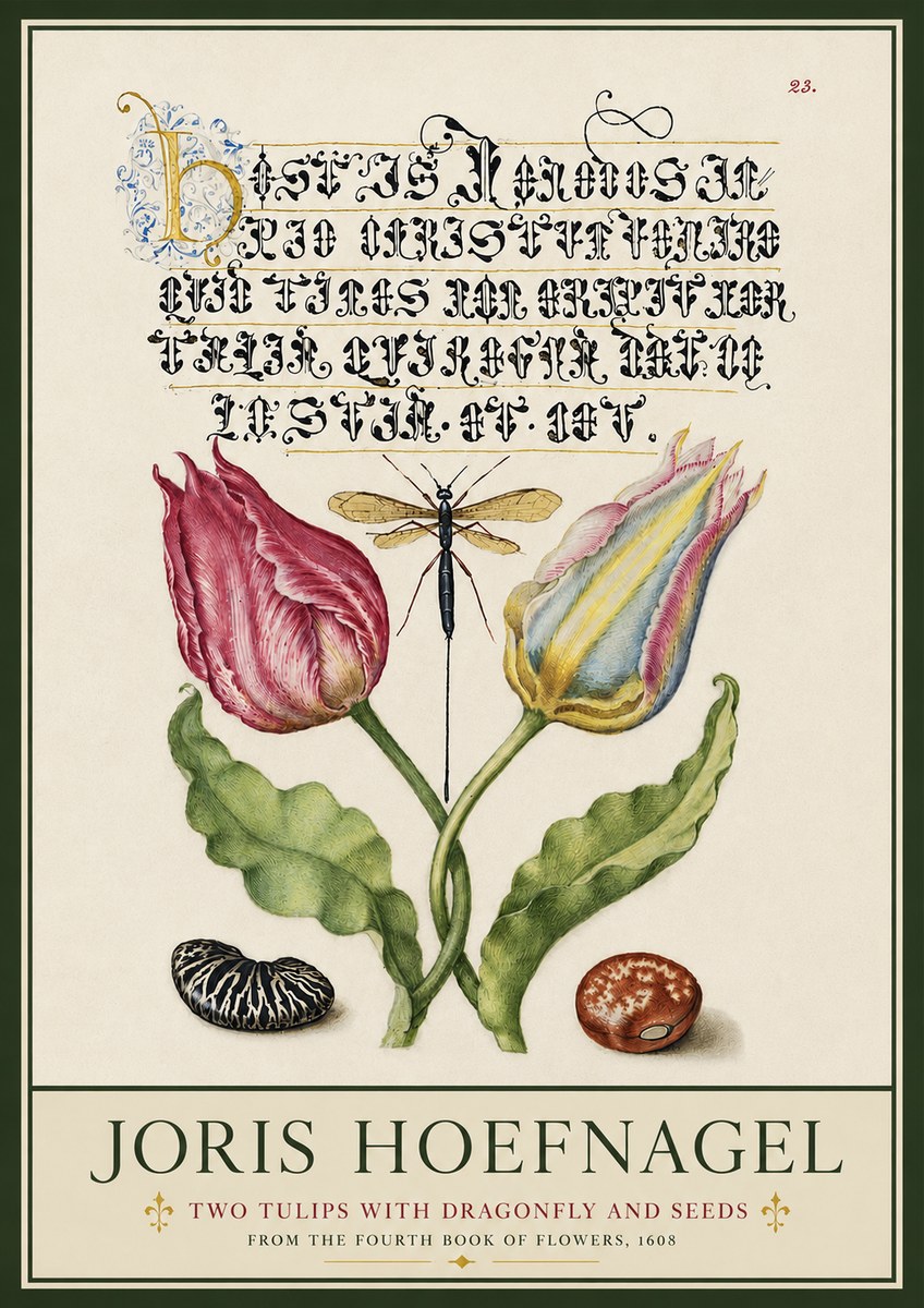 Joris Hoefnagel Two Tulips with Dragonfly and Seeds No3 - Affiche