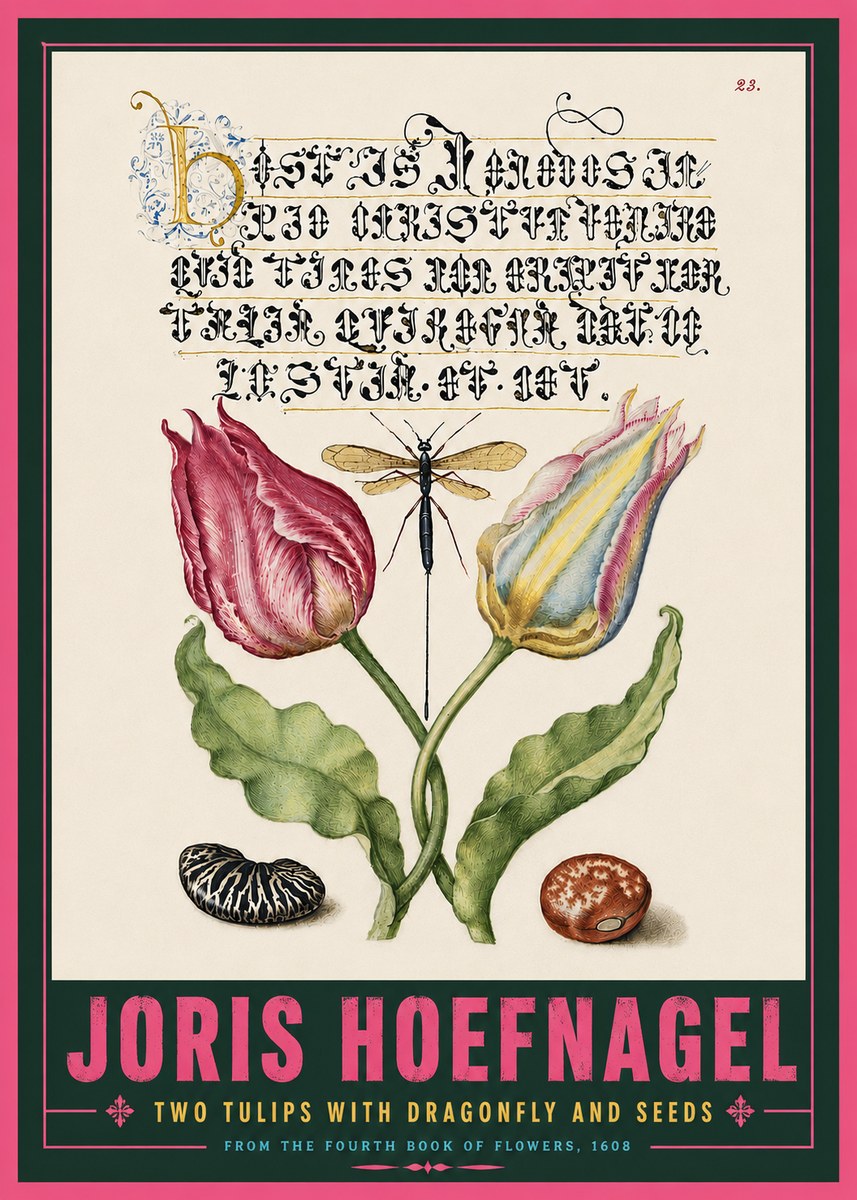 Joris Hoefnagel Two Tulips with Dragonfly and Seeds No5 - Affiche