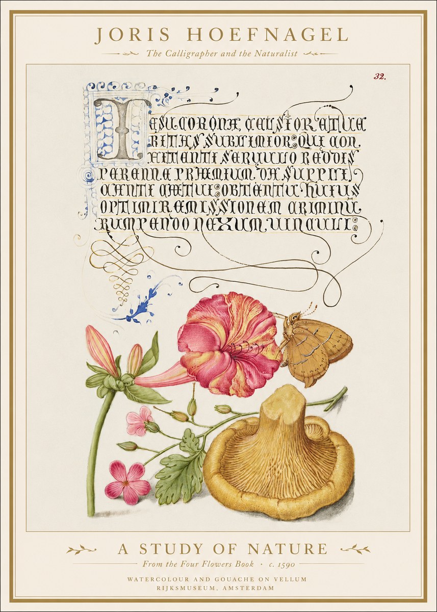 Joris Hoefnagel A Study of Nature II No1 - Affiche