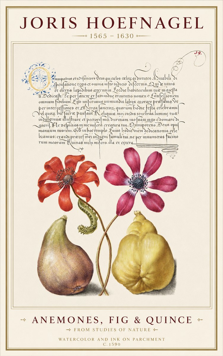 Joris Hoefnagel Flowers and Fruits No2 - Affiche