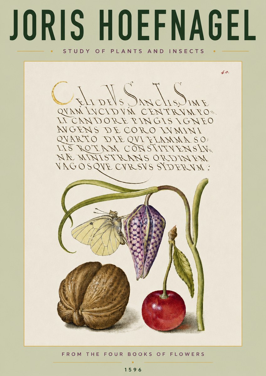 Joris Hoefnagel Study of Plants and Insects No4 - Affiche