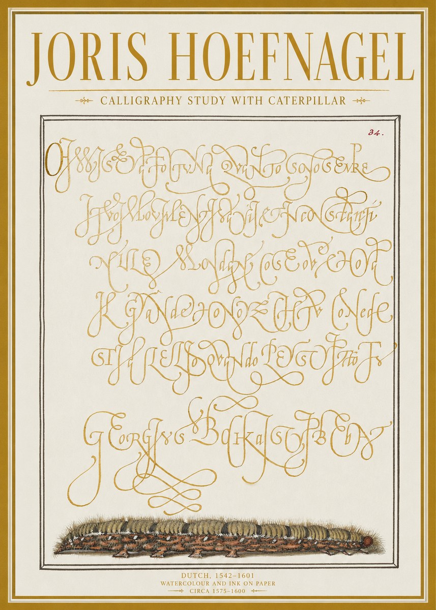 Joris Hoefnagel Calligraphy Study with Caterpillar No1 - Affiche