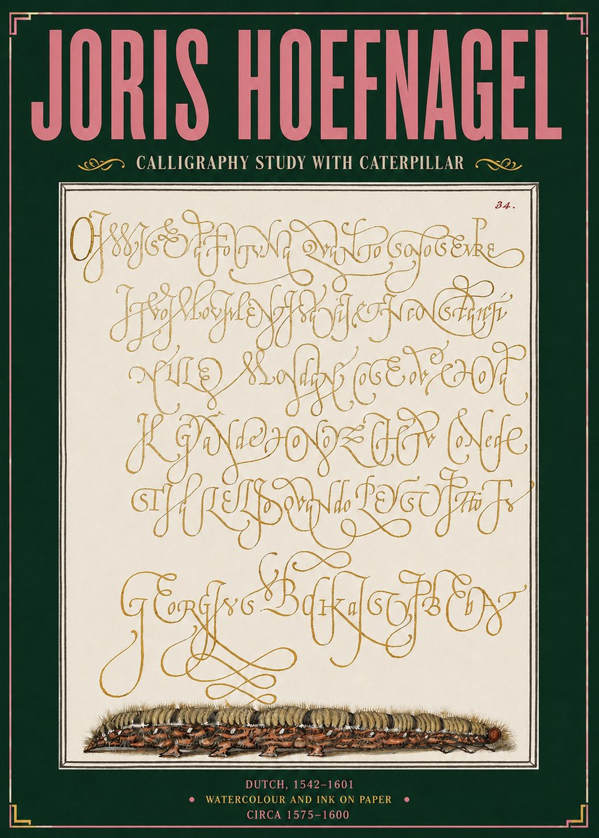 Joris Hoefnagel Calligraphy Study with Caterpillar No3 - Affiche