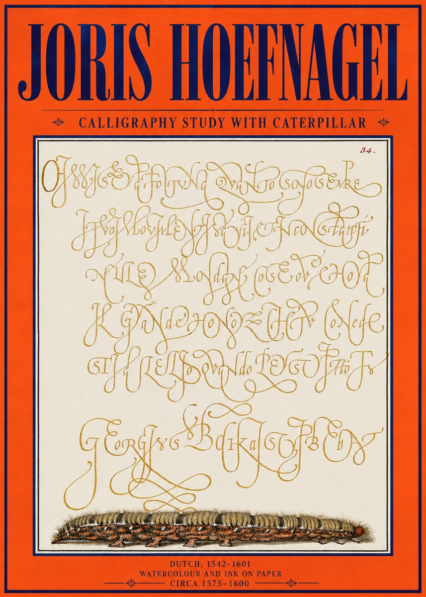Joris Hoefnagel Calligraphy Study with Caterpillar No4 - Affiche