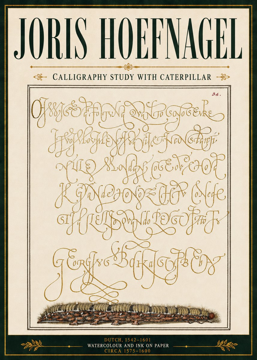 Joris Hoefnagel Calligraphy Study with Caterpillar No5 - Affiche