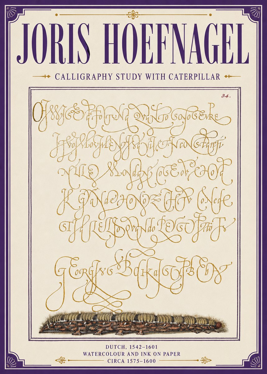 Joris Hoefnagel Calligraphy Study with Caterpillar No6 - Affiche