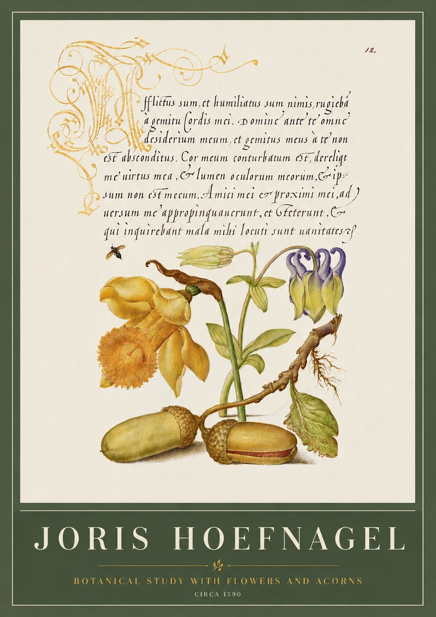 Joris Hoefnagel Illuminated Manuscript with Flowers and Acorns No6 - Affiche