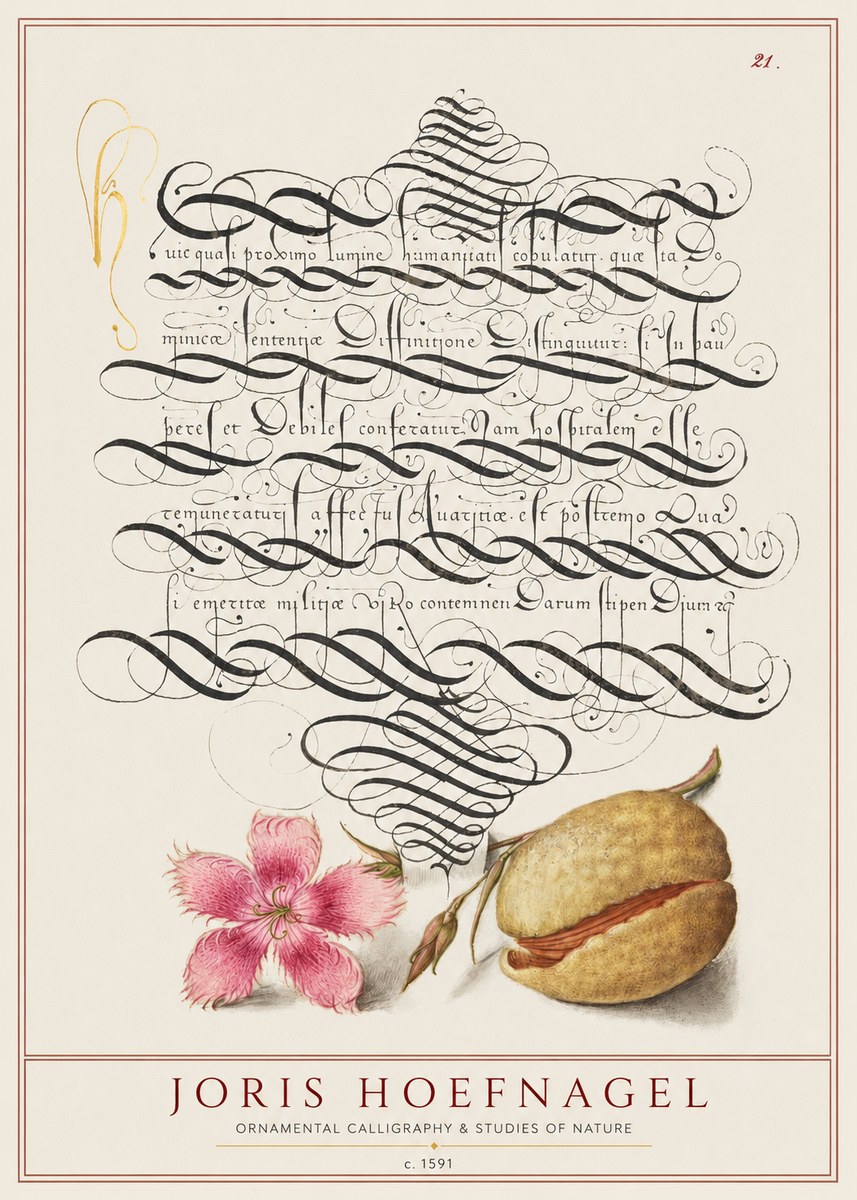 Joris Hoefnagel Ornamental Calligraphy & Studies of Nature No1 - Affiche