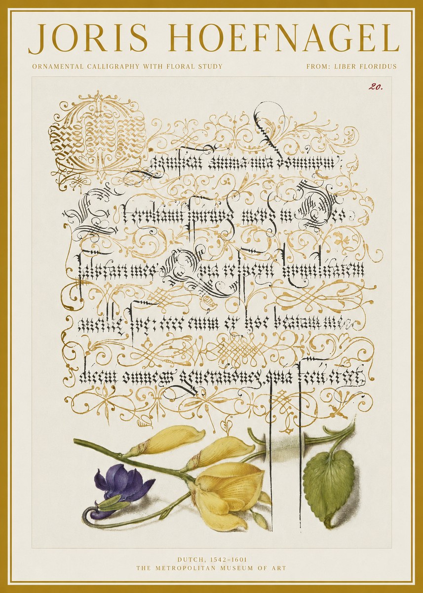 Joris Hoefnagel Ornamental Calligraphy with Floral Study No1 - Affiche