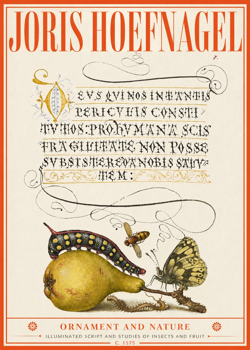 Joris Hoefnagel Ornament and Nature - Illuminated Script and Studies of Insects and Fruit No2 - Affiche