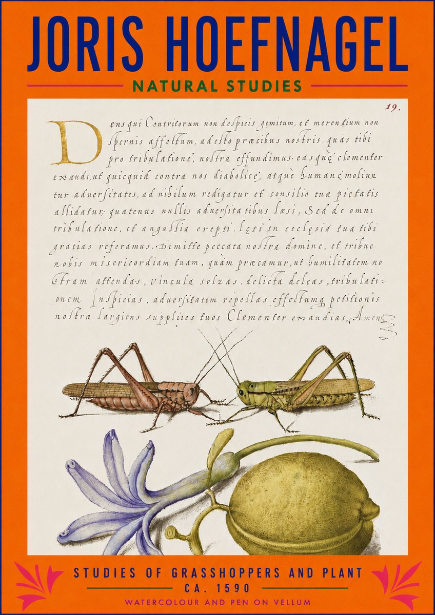 Joris Hoefnagel Studies of Grasshoppers and Plant No3 - Affiche