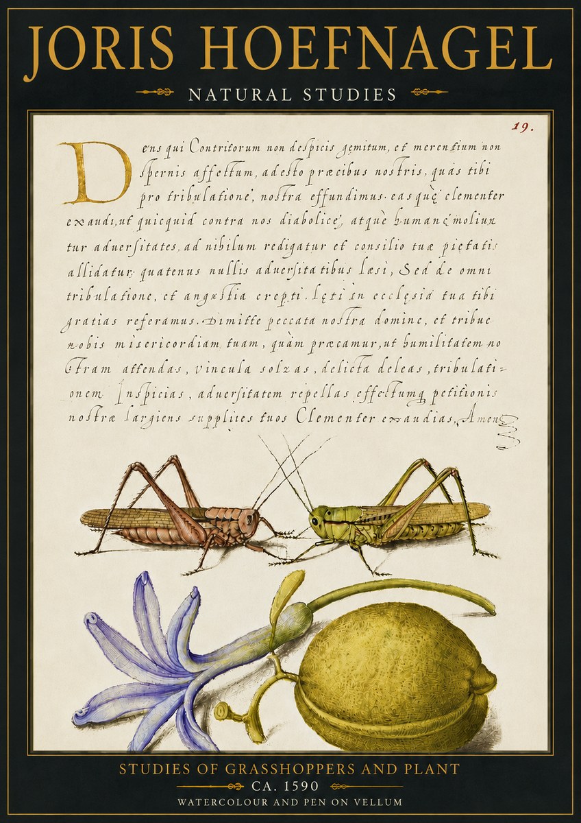 Joris Hoefnagel Studies of Grasshoppers and Plant No4 - Affiche