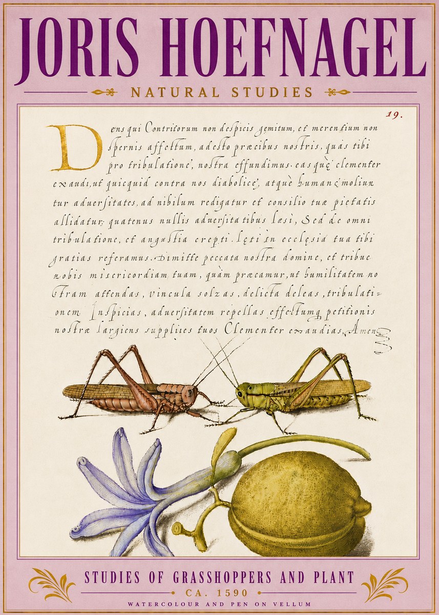 Joris Hoefnagel Studies of Grasshoppers and Plant No5 - Affiche