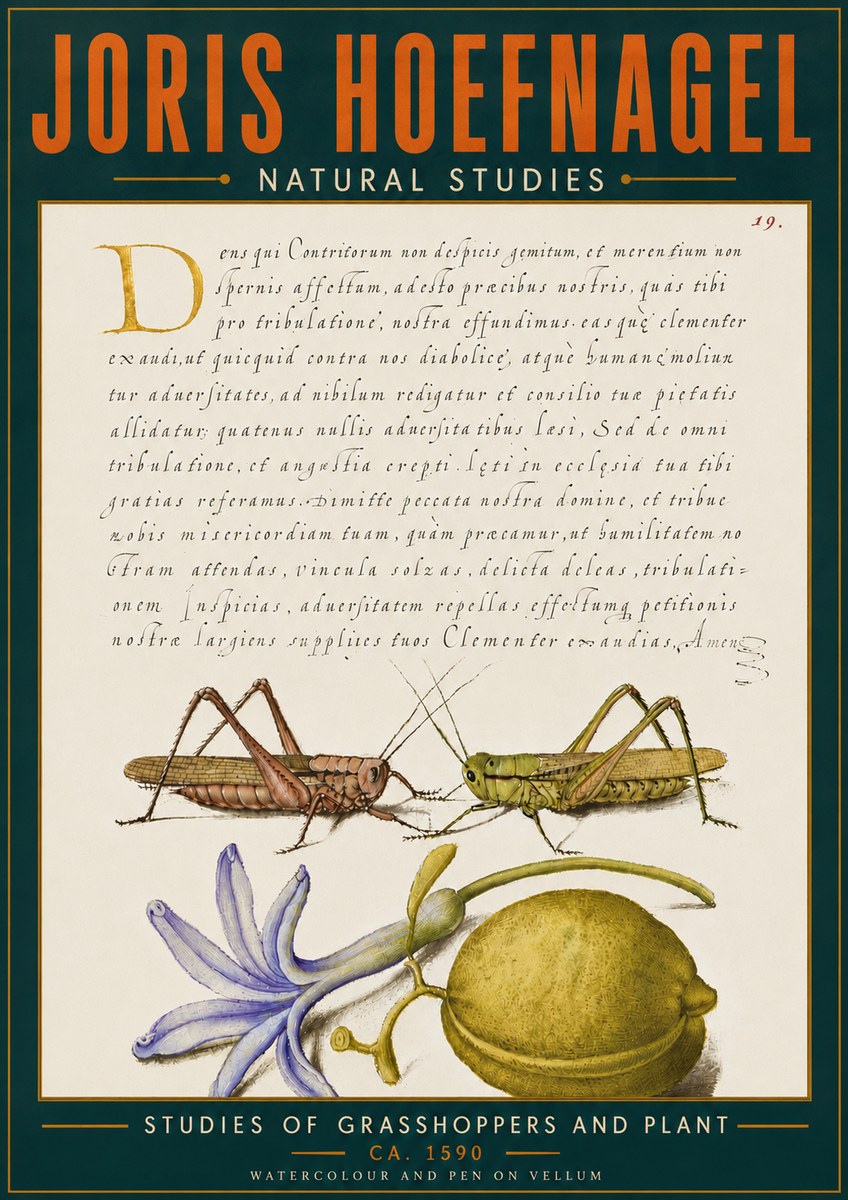 Joris Hoefnagel Studies of Grasshoppers and Plant No6 - Affiche