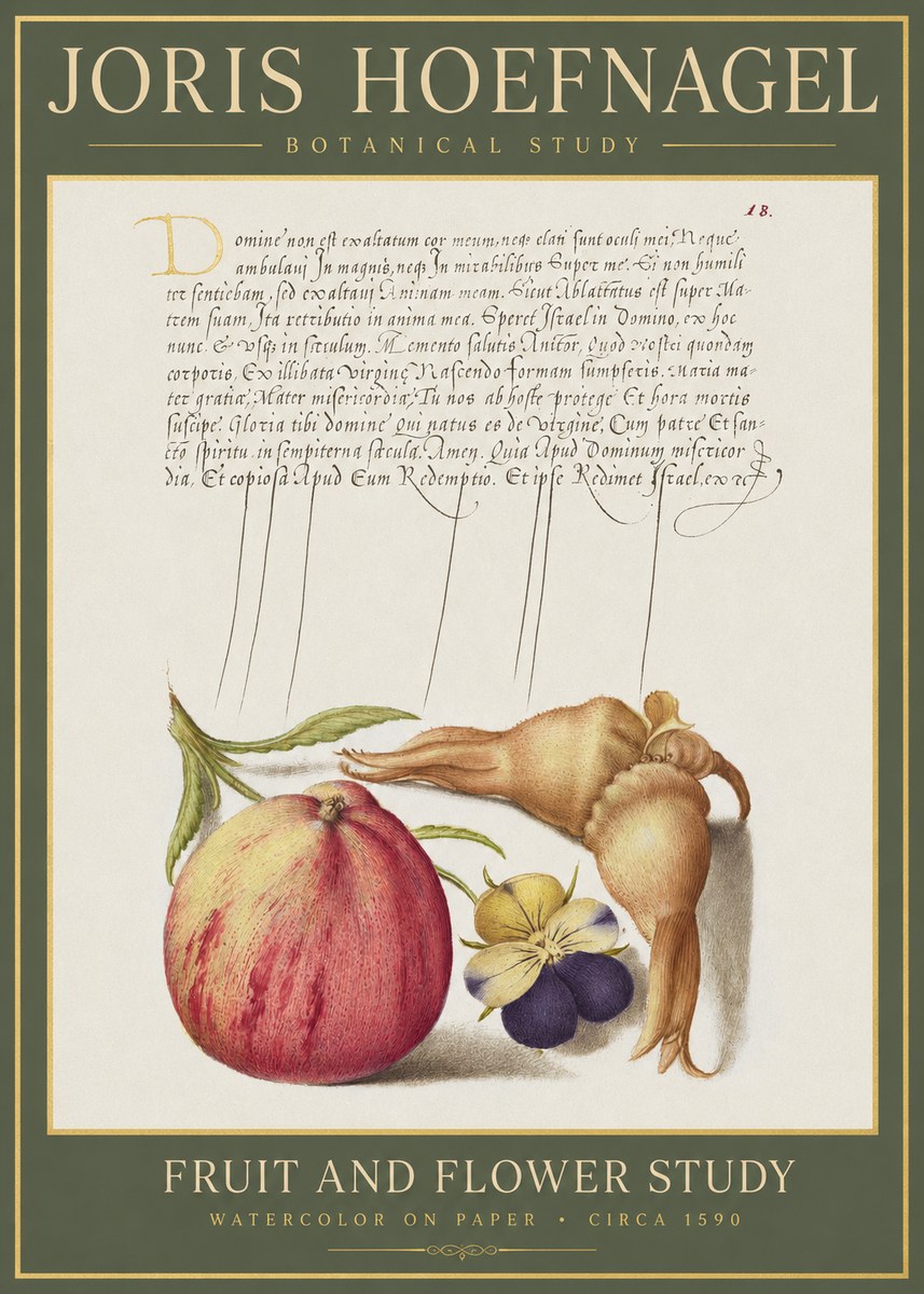 Joris Hoefnagel Fruit and Flower Study No1 - Affiche