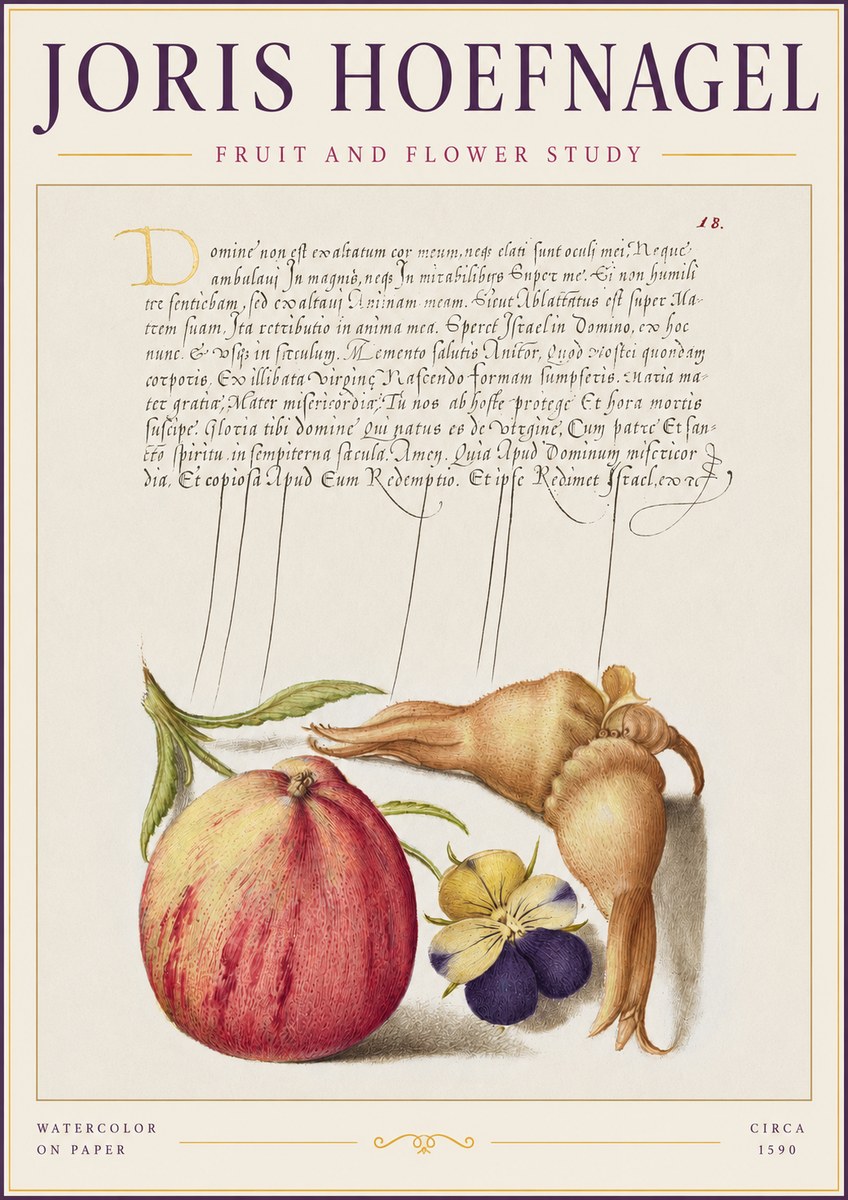 Joris Hoefnagel Fruit and Flower Study No2 - Affiche
